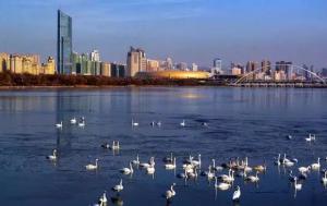 三門峽又一網(wǎng)紅景點(diǎn)，確定不來(lái)pick一下？